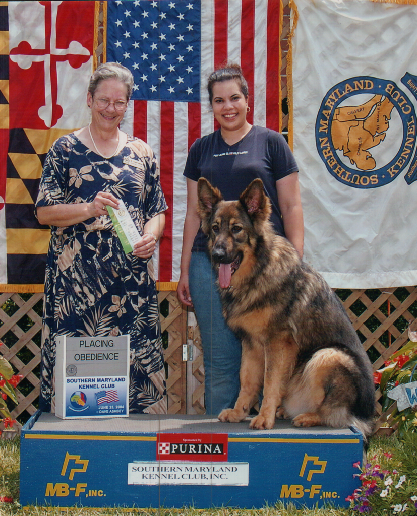 Learn About the Best Dog Training Business in Baltimore