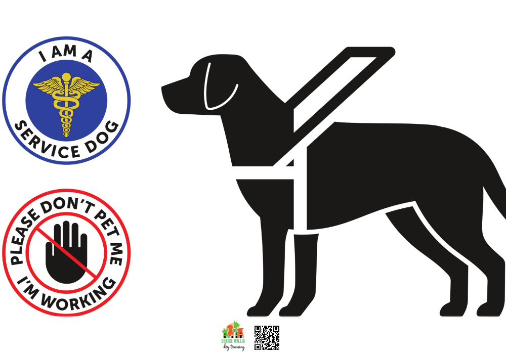 Expert Service Dog Training Near Me in MD