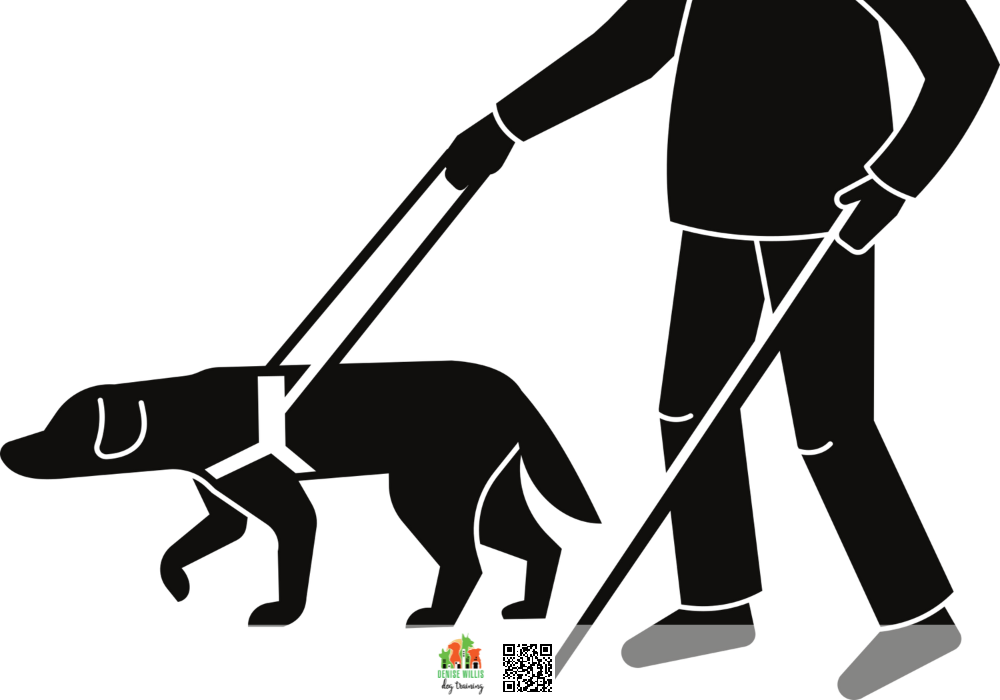 Top Rated Service Dog Trainer Near Me in Baltimore MD