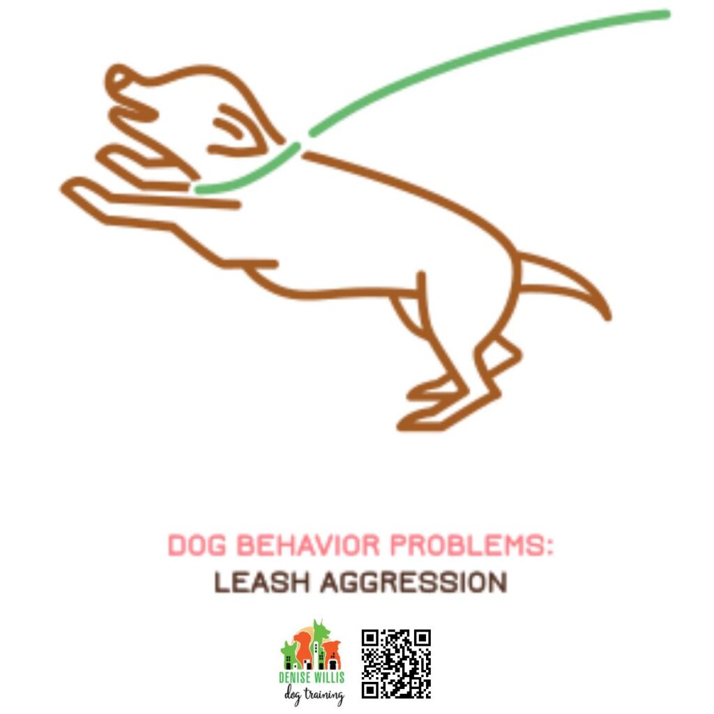 Professional Dog Aggression Trainer Near Me
