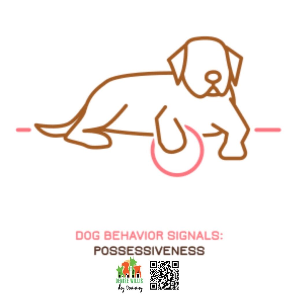 Best Dog Trainer to Help with Possessive Dogs