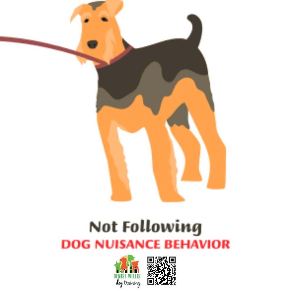 Skilled Leash Reactivity Trainer Near Me in Baltimore MD