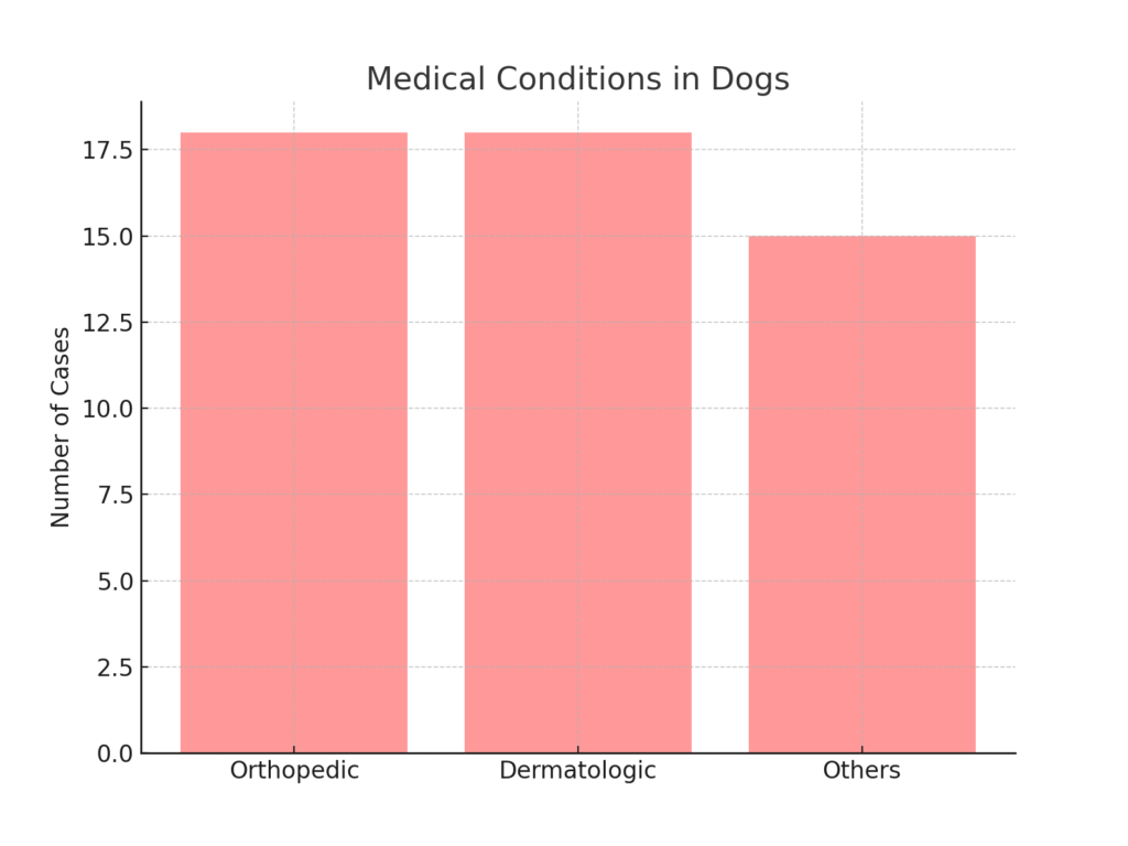Breakdown of Medical Reasons for Dog Aggression