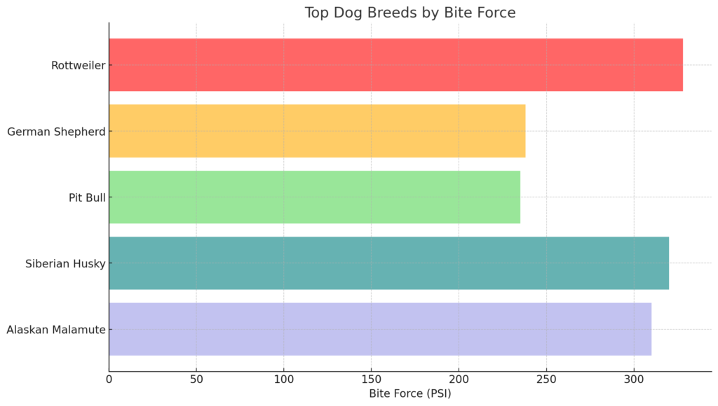 Dogs With the Highest Bite Force
