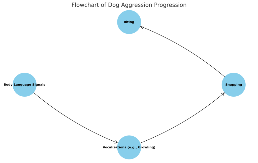 Chart of How Dog Aggression Increases in Intensity