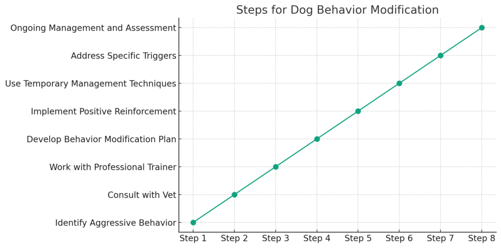 Chart For Steps to Correct Dog Aggression