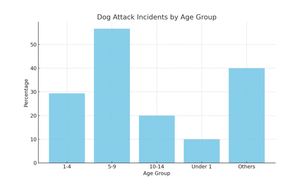 Bar Chart Detailing Dog Attacks By Age Group