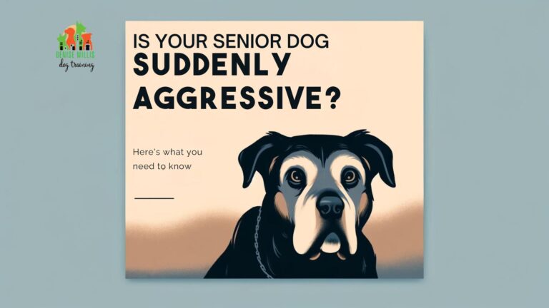 Learn About Dog Aggression in Older Dogs