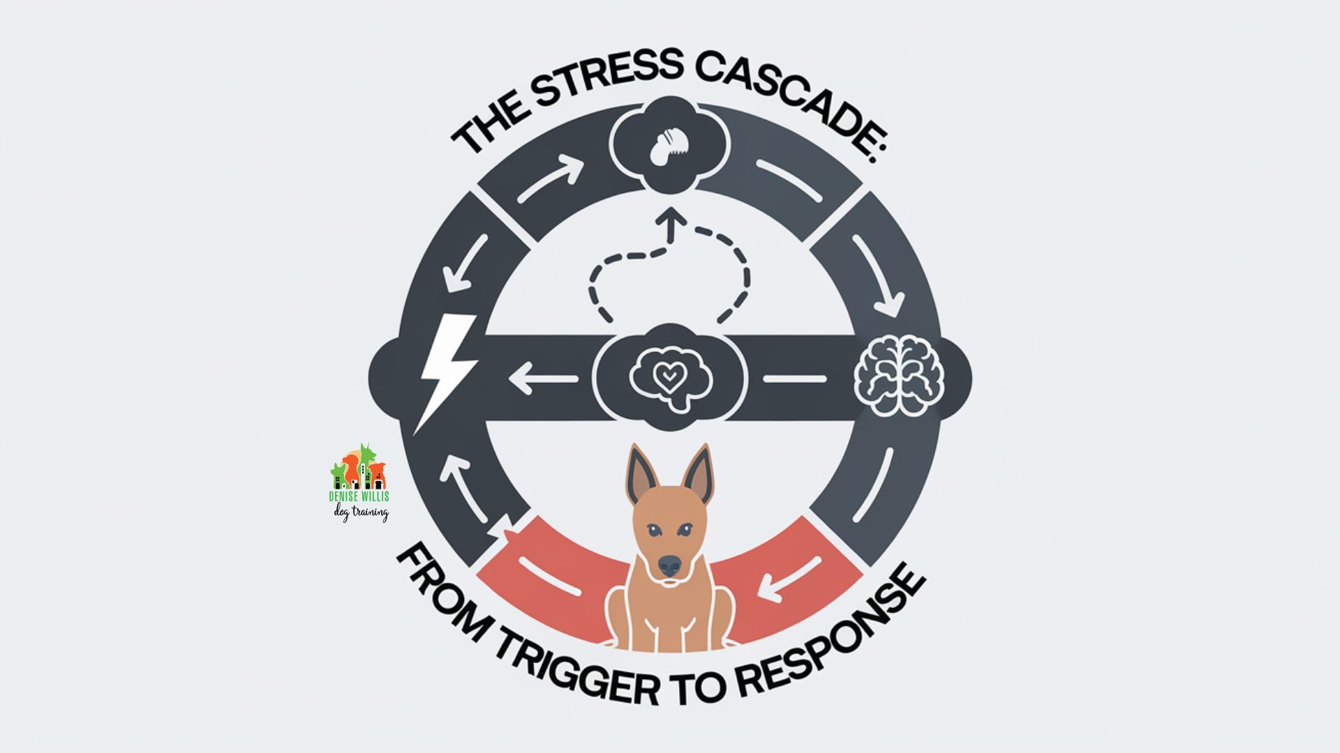 Vector illustration of a dog displaying multiple stress signals with callouts explaining each signal" Description: Create a central dog figure (friendly-looking but alert) with multiple labeled callouts pointing to different body parts showing stress signals: raised hackles, whale eye, lip licking, ear position, tail tucking.