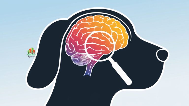 Trauma induced dog aggression - illustration of dog brain activity during stress response